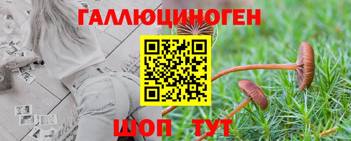 Псилоцибиновые грибы Cubensis  Вход с VPN  Пугачёв 
